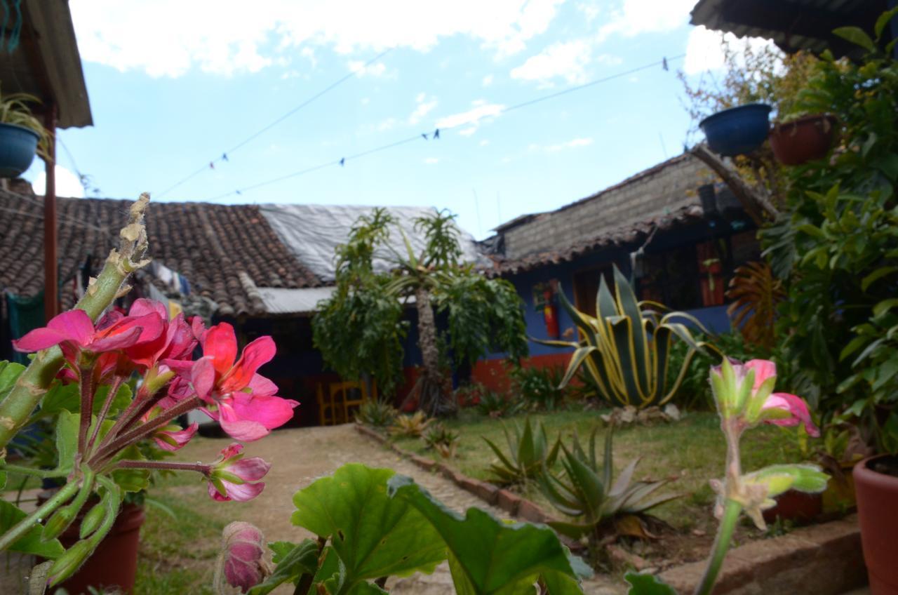 Hostal El Rincon De Los Camellos San Cristóbal de Las Casas Εξωτερικό φωτογραφία