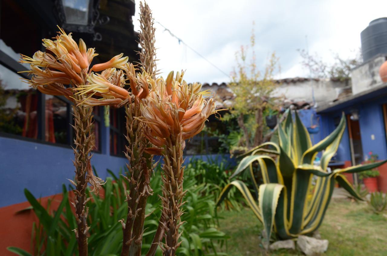 Hostal El Rincon De Los Camellos San Cristóbal de Las Casas Εξωτερικό φωτογραφία