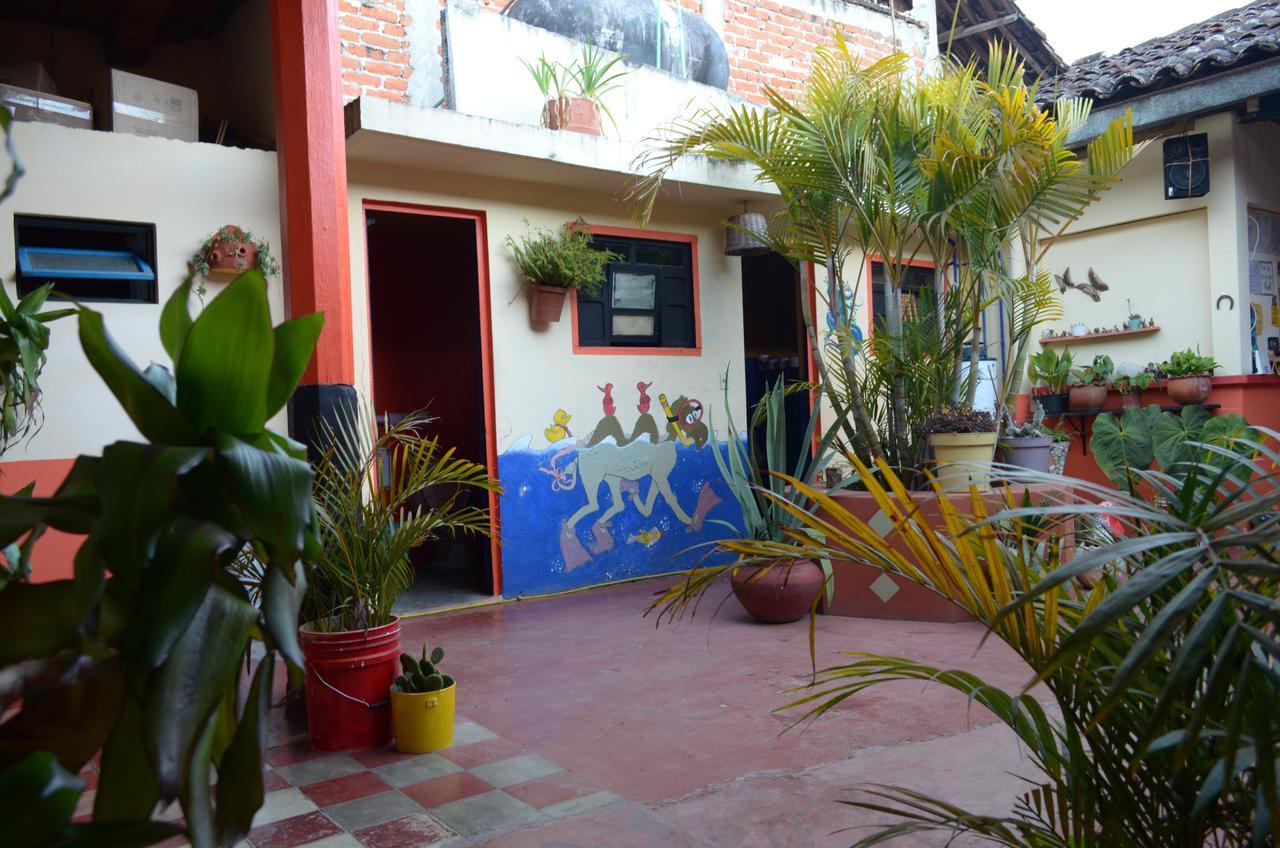 Hostal El Rincon De Los Camellos San Cristóbal de Las Casas Εξωτερικό φωτογραφία