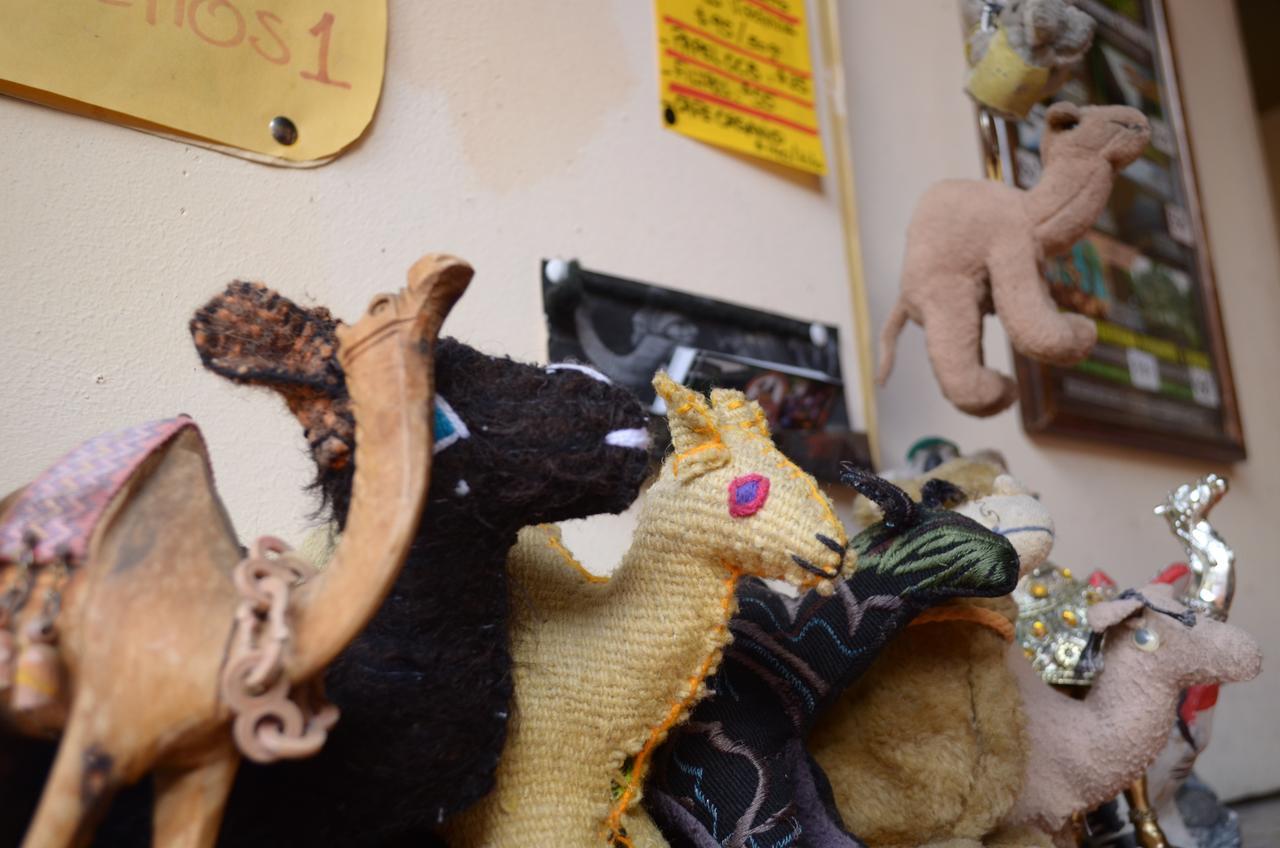 Hostal El Rincon De Los Camellos San Cristóbal de Las Casas Εξωτερικό φωτογραφία