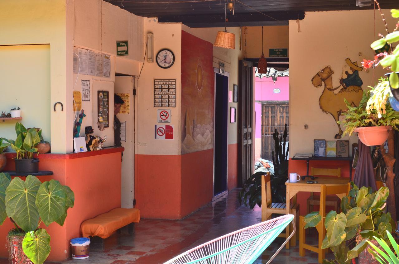 Hostal El Rincon De Los Camellos San Cristóbal de Las Casas Εξωτερικό φωτογραφία