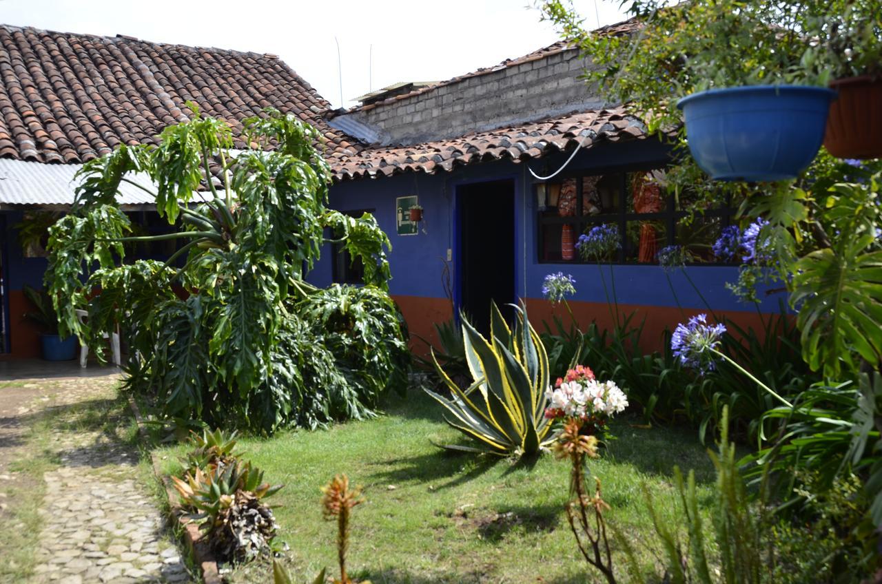 Hostal El Rincon De Los Camellos San Cristóbal de Las Casas Εξωτερικό φωτογραφία