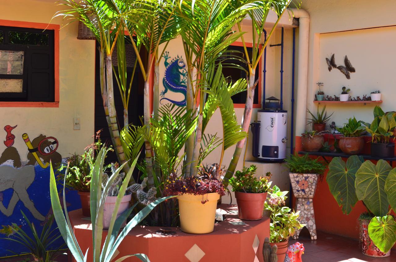 Hostal El Rincon De Los Camellos San Cristóbal de Las Casas Εξωτερικό φωτογραφία
